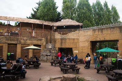 Forbidden Kingdom